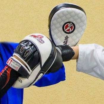 ЛАПИ І ГРУШІ ДЛЯ ТХЕКВОНДО