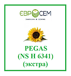 Насіння соняшника Pegas (Пегас) NS H 6341 Оптимум  А-Е (5), фото 3
