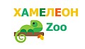 Ветеринарний інтернет-магазин        Хамелеон ZOO