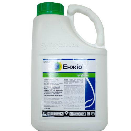 Инсектицид Энжио 5л, Syngenta, цена 17500 грн — Prom.ua (ID#888654763)