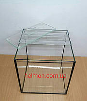 Тераріум для равликів 20*20*20, фото 3