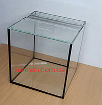 Тераріум для равликів 20*20*20, фото 4