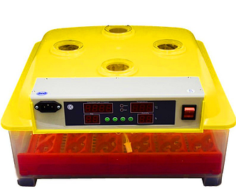 Інкубатор з автоповоротом яєць MS-36/144