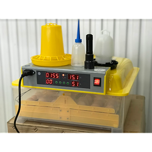 Інкубатор інвекторний з автоматичним переворотом яєць DZE-56