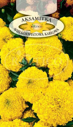 Насіння чорнобривців низькорослих Жовті 0,5 г ТМ ROLTICO, фото 1