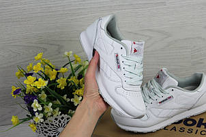 Підліткові,жіночі, демісезонні кросівки Reebok,білі, фото 2