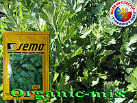 Листова селера ЕМНИ (JEMNY) від ТМ SEMO (Чехія), проф. пакет 10 000 насінин