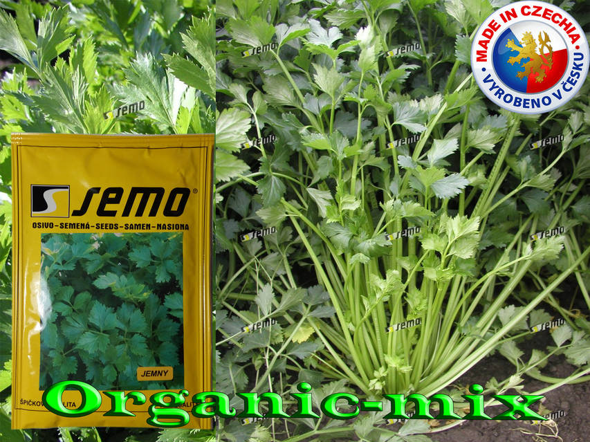 Екі шашты жігіттермен анальный порно Орыс жезөкшелері диалог арқылы жопқа ене береді