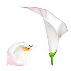 Калла головка NGk-2 латекс (350 шт./уп.) Штучні квіти оптом, фото 4