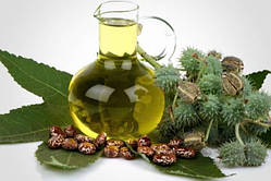 Касторова олія (Індія) (косметична) — 50 мл нерафінована