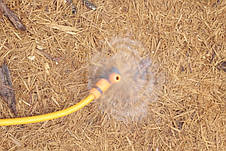 Дощівник Presto-PS зрошувач круговий Тюльпан (8401), фото 5