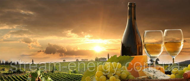 насос для вина насос для вина