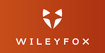 Акумуляторні батареї для мобільних телефонів WileyFox