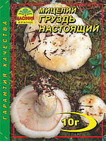 Мицелий Груздь настоящий, 10 г