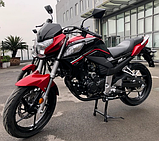 Мотоцикл Forte FT250-CKA (250 см3, + документи на облік), фото 3