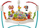 Стрибуни крісло-стрибунці Веселі тварини Fisher-Price Animal Activity FFJ00, фото 7