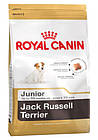 Сухий корм для цуценят породи джек розсіл Royal Canin Royal Canin Jack Russel Terrier Junior, 1,5 кг