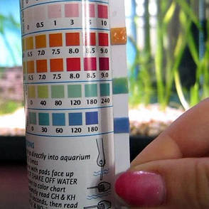 Тест TetraPond QuickTest 6in1, фото 3