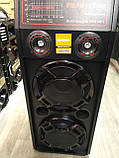 Акустика активна Temeisheng DP-2329 (USB/Bluetooth) 300 Вт, фото 7