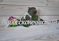 Напис Хештег з дерева