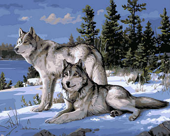 Картина за номерами Вовки на снігу 40 х 50 см (VP236)