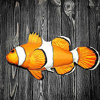 Декоративна подушка риба-клоун