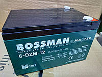 Тяговый аккумулятор Bossman Master 6DZM12 - GEL 12V 12Ah