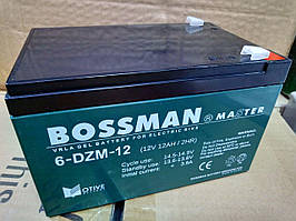 Тяговий акумулятор Bossman Master 6DZM12 - GEL 12V 12Ah