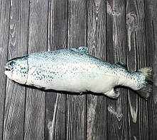 М'яка риба-подушка Лосось