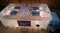 Инкубатор Курочка Ряба автомат на 56 яиц с прозрачным пластиковый корпус и влагорегулятором