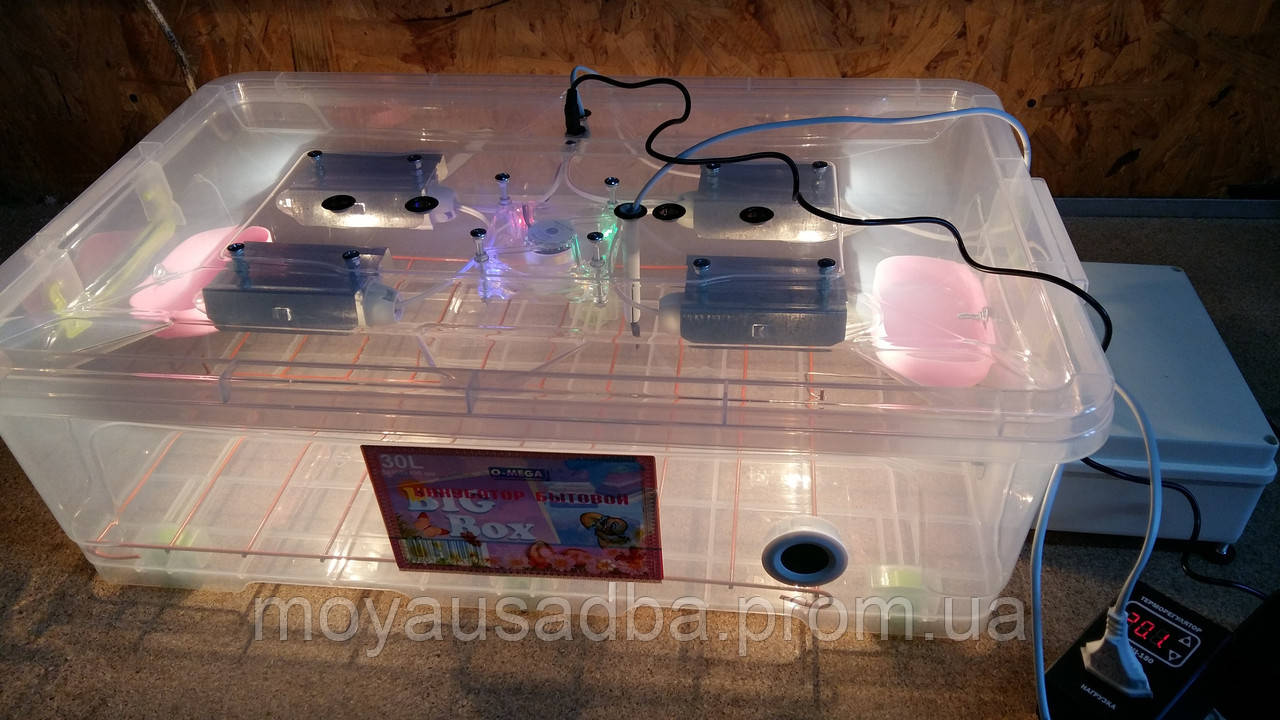 Інкубатор Курочка Ряба автомат на 56 яєць з прозорим пластиковий корпус і влагорегулятором, фото 1