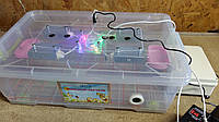 Инкубатор Курочка Ряба автомат на 56 яиц с прозрачным пластиковый корпус