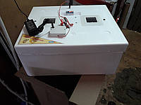 Инкубатор Курочка Ряба автомат на 62 яйца+12V с 2я сетками и вентилятором