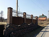 Ковані паркани арт кз 37, фото 4