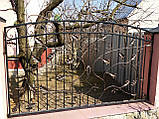 Ковані паркани арт кз 37, фото 6