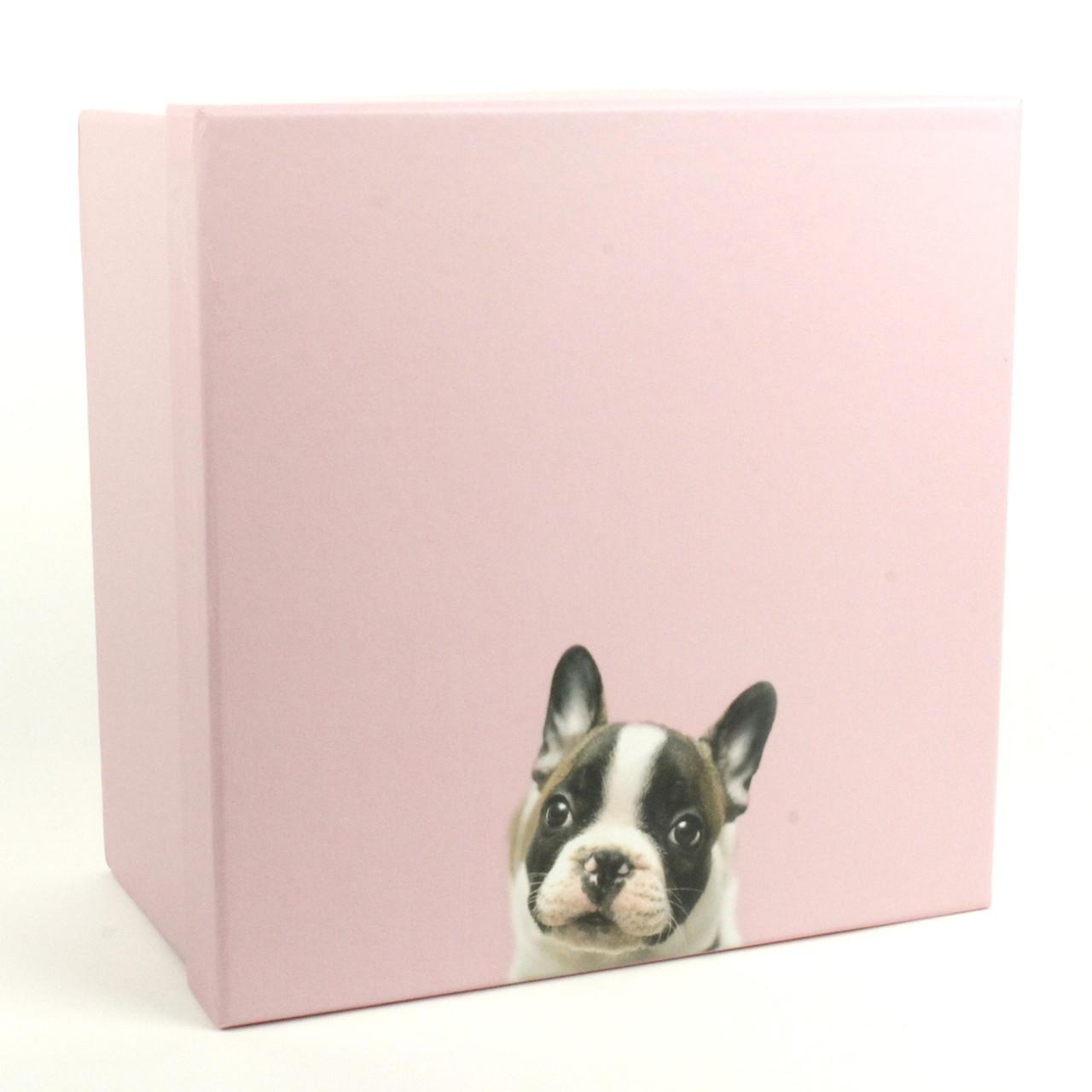 Подарункова коробка My Sweet Puppy 21 x 21 x 12 см