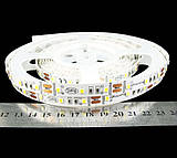 Негерметичні стрічки 5050-60 IP33