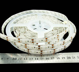Синяя SMD3528 (120 LED/м) 465-470nm (9,6W/м)  IP64 Outdoor Rishang