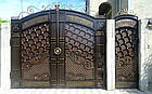 Елітні ковані ворота з хвірткою, фото 2