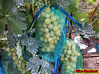 Захисна сітка для пензлів винограду (2 кг)