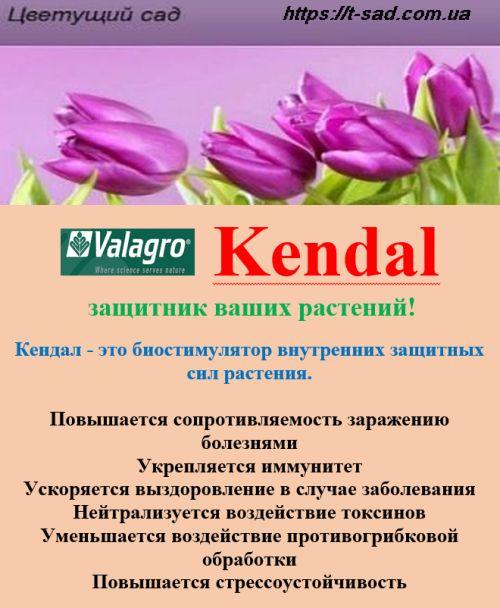Біостимулятор Kendal захисник ваших рослин! 100 г, фото 1
