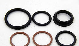 Набір РТІ гідроциліндра під.жатку.РСМ/Дон/