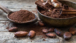 Лінія для перероблення какао бобів 1000 кг/год