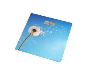 Ваги підлогові Grunhelm BES-BLB, фото 1