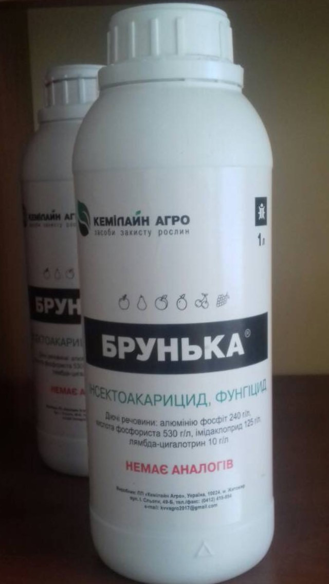 Інсектоакарицид фунгіцид Брунька, 1л