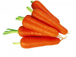 Абако F1 насіння моркви Seminis 400 насінин