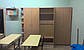 Шафа для школи в роздягальню, для шкільного кабінету ЛДСП 2500*2050*400 мм. Меблі для навчальних класів, в офіс, фото 3