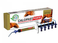 Паста с гидроксидом кальция СALCIPAST Forte 2,1г (кальципаст форте)