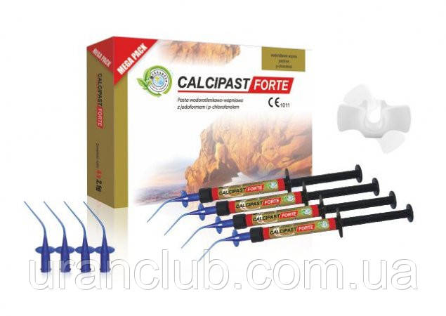 Купить Паста с гидроксидом кальция СALCIPAST Forte 2,1г (кальципаст ...