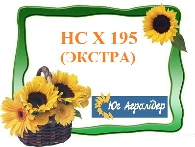 Насіння соняшнику НС ІМІСАН (Екстра), A-Е, Юг Агролідер, фото 1